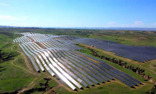 農作物種子經營 國內政策優(yōu)化與市場發(fā)展新趨勢