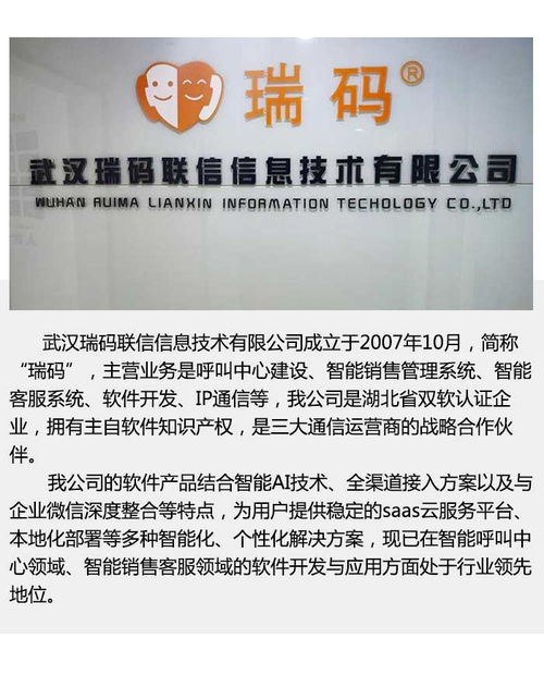深入解析武漢智能客服系統 瑞碼聯信與瑞饒信息的技術創新